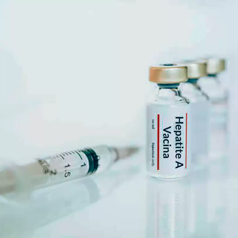 Hepatite A: Causas, sintomas, diagnóstico, tratamento e prevenção